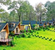Thiết kế homestay