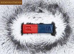 Nam Châm Vĩnh Cửu Có Mấy Cực?