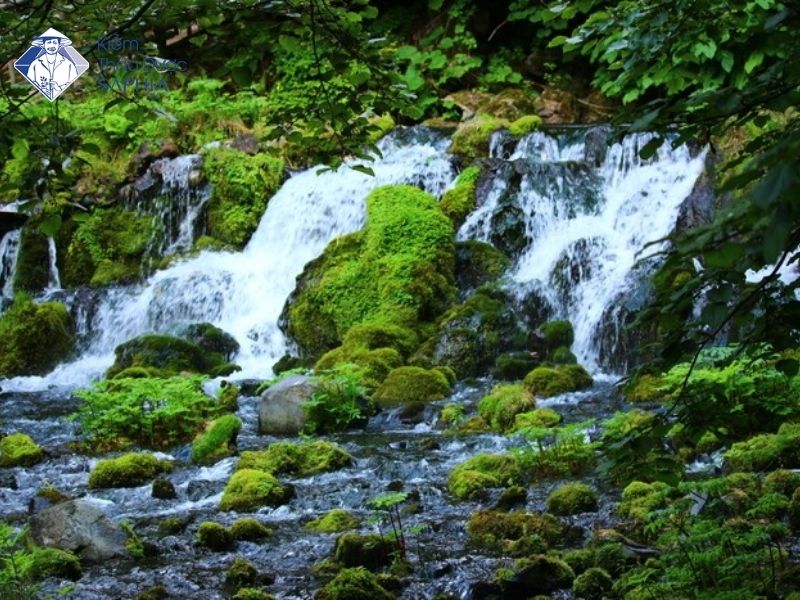 Lợi ích tiềm năng của nước kiềm